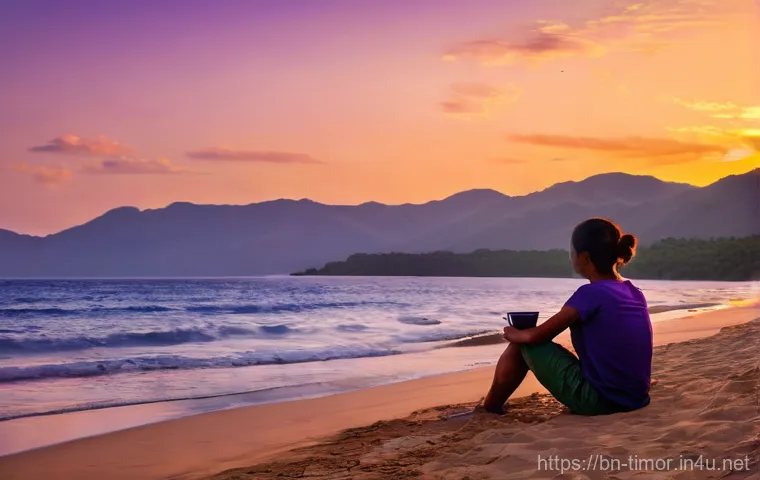 동티모르 이민 정책 - **Image Prompt: Serene Sunset on East Timor Beach**
    "A person is sitting comfortably on a clean,...