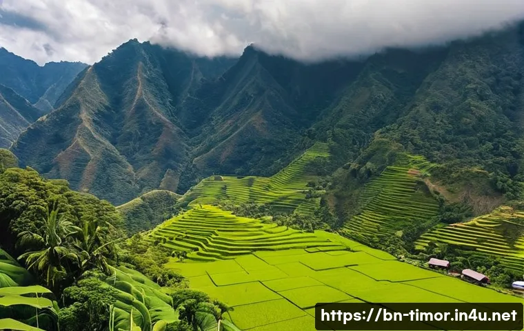 동티모르의 세계유산 관련 이미지 2