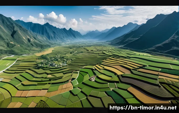 동티모르 국경 분쟁 관련 이미지 1