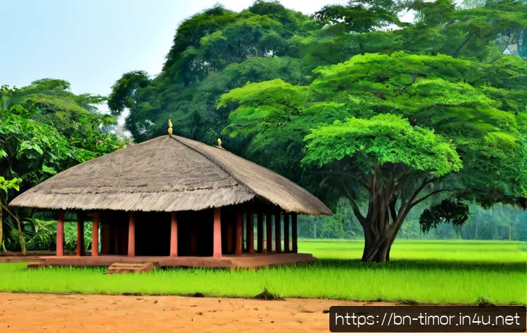 পূর্ব তিমুরের শরণার্থী সংকট: কারণ, প্রভাব ও বর্তমান প্রেক্ষাপট 4 동티모르 난민 문제 관련 이미지 2